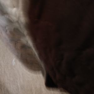 Meet your Posher, William